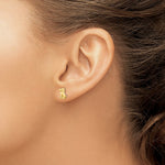 Load image into Gallery viewer, 14K Yellow Gold Madi K Dog Post Earrings