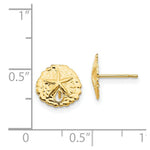 Load image into Gallery viewer, 14K Yellow Gold Madi K Sand Dollar Post Earrings