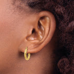 Load image into Gallery viewer, 14K Yellow Gold Polished 2.75mm Twisted Hoop Earrings 10mm length
