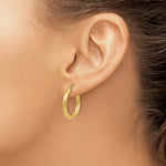 Load image into Gallery viewer, 14K Yellow Gold Polished 3.25mm Twisted Hoop Earrings 14mm length