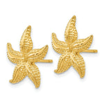 Load image into Gallery viewer, 14K Yellow Gold StarFish Post Earrings 17mm length