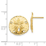Load image into Gallery viewer, 14K Yellow Gold Large Sanddollar Post Earrings
