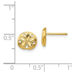 Load image into Gallery viewer, 14K Yellow Gold Diamond-cut Sand Dollar Earrings