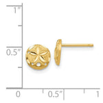 Load image into Gallery viewer, 14K Yellow Gold Diamond-cut Sand Dollar Earrings