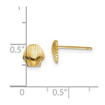 Load image into Gallery viewer, 14K Yellow Gold Mini Scallop Shell Post Earrings