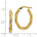 Load image into Gallery viewer, 14K Yellow Gold Polished Textured Twisted Oval Hoop Earrings