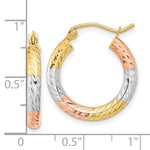 Load image into Gallery viewer, 14k Tri-Color Gold Polished & Diamond-cut Texture 20mm Hoop Earrings