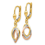 Load image into Gallery viewer, 14K Tri-Color Gold Polished Dangle Leverback Earrings