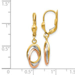 Load image into Gallery viewer, 14K Tri-Color Gold Polished Dangle Leverback Earrings