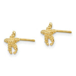 Load image into Gallery viewer, 14K Yellow Gold Polished & Textured StarFish Post Earrings