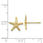 Load image into Gallery viewer, 14K Yellow Gold StarFish Post Earrings 11mm length
