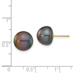 Load image into Gallery viewer, 14K Yellow Gold 10-11mm Black Button Freshwater Cultured Pearl Stud Earrings