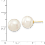 Load image into Gallery viewer, 14K Yellow Gold 11-12mm White Button Freshwater Cultured Pearl Stud Earrings