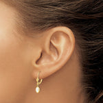 Load image into Gallery viewer, 14K 6x4 Oval Bezel October/Opal Leverback Earrings