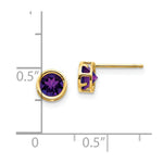 Load image into Gallery viewer, 14K Yellow Gold 5mm Bezel Amethyst Stud Earrings, 4/5-Carat Gemweight