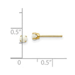 Load image into Gallery viewer, 14K Yellow Gold 3mm October/Opal Post Earrings, 0.16-Carat Gemweight