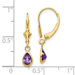 Load image into Gallery viewer, 14K 6x4mm Amethyst/February Earrings