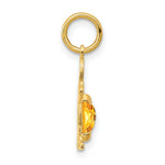 Load image into Gallery viewer, 14K Yellow Gold Boy 6x4 Oval Genuine Citrine-November Birthstone Charm Pendant