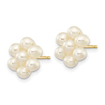 Load image into Gallery viewer, 14K Yellow Gold Medium Egg White Freshwater Cultured Pearl Flower Earrings