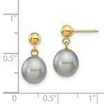 Load image into Gallery viewer, 14K 8-9mm Grey Freshwater Cultured Pearl Dangle Earrings