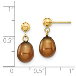 Load image into Gallery viewer, 14K 7-8mm Brown Freshwater Cultured Pearl Dangle Earrings