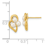 Load image into Gallery viewer, 14k Yellow Gold 3-4mm White Button Freshwater Cultured Pearl Post Earrings