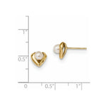 Load image into Gallery viewer, 14K Yellow Gold 4-5mm White Rice Freshwater Cultured Pearl Post Earrings