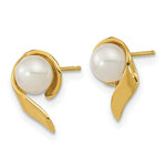 Load image into Gallery viewer, 14K Yellow Gold 5-6mm White Button Freshwater Cultured Pearl Post Earrings