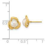 Load image into Gallery viewer, 14K Yellow Gold 5-6mm White Button Freshwater Cultured Pearl Post Earrings