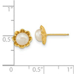 Load image into Gallery viewer, 14K Yellow Gold 5-6mm White Button Freshwater Cultured Pearl Post Earrings