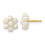 Load image into Gallery viewer, 14K Yellow Gold Children's White 2-3mm Freshwater Cultured Pearl Flower Earrings