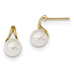 Load image into Gallery viewer, 14K Yellow Gold w/ Freshwater Cultured Pearl Post Earring