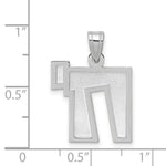 Load image into Gallery viewer, 14K White Gold Solid Satin Chai Charm
