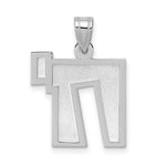 Load image into Gallery viewer, 14K White Gold Solid Satin Chai Charm