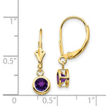 Load image into Gallery viewer, 14K Yellow Gold 5mm Amethyst Leverback Earring