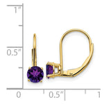Load image into Gallery viewer, 14K Yellow Gold 5mm Amethyst Leverback Earrings