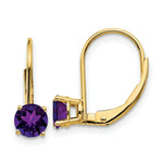 Load image into Gallery viewer, 14K Yellow Gold 5mm Amethyst Leverback Earrings