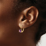Load image into Gallery viewer, 14K Yellow Gold 6mm Amethyst Leverback Earrings