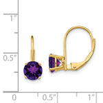 Load image into Gallery viewer, 14K Yellow Gold 6mm Amethyst Leverback Earrings