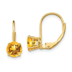 Load image into Gallery viewer, 14K Yellow Gold 6mm Citrine Leverback Earrings