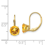 Load image into Gallery viewer, 14K Yellow Gold 7mm Citrine Leverback Earrings
