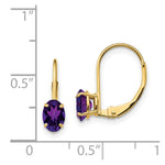 Load image into Gallery viewer, 14K Yellow Gold 6x4mm Oval Amethyst Leverback Earrings