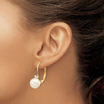 Load image into Gallery viewer, 14K 6mm Freshwater Cultured Pearl AA Diamond Leverback Earrings
