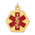 Load image into Gallery viewer, 14K Yellow Gold Medical Jewelry Pendant