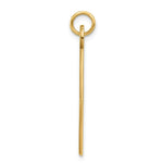 Load image into Gallery viewer, 14K Yellow Gold Medical Jewelry Unenameled Pendant
