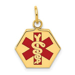 Load image into Gallery viewer, 14K Yellow Gold Medical Jewelry Pendant