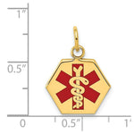 Load image into Gallery viewer, 14K Yellow Gold Medical Jewelry Pendant