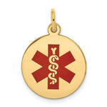 Load image into Gallery viewer, 14K Yellow Gold Medical Jewelry Pendant