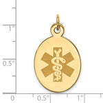 Load image into Gallery viewer, 14K Yellow Gold Non-enameled Medical Jewelry Pendant