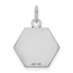 Load image into Gallery viewer, 14K White Gold Medical Alert Jewelry Pendant